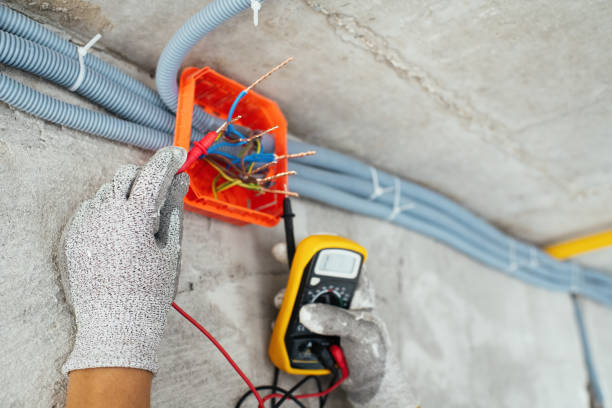 Best Electrician for Home Renovation  in Winnebago, IL